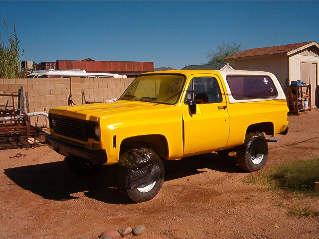 yellow3.jpg