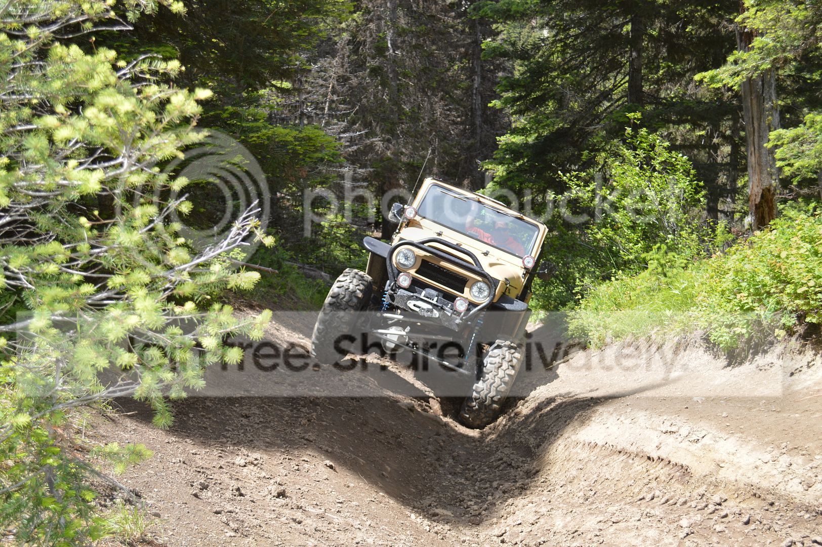 DSC_0117_zpsikuvqikg.jpg