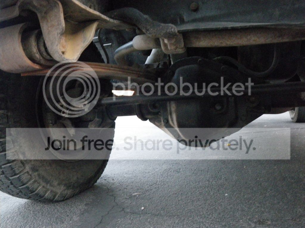 IMGP4318.jpg