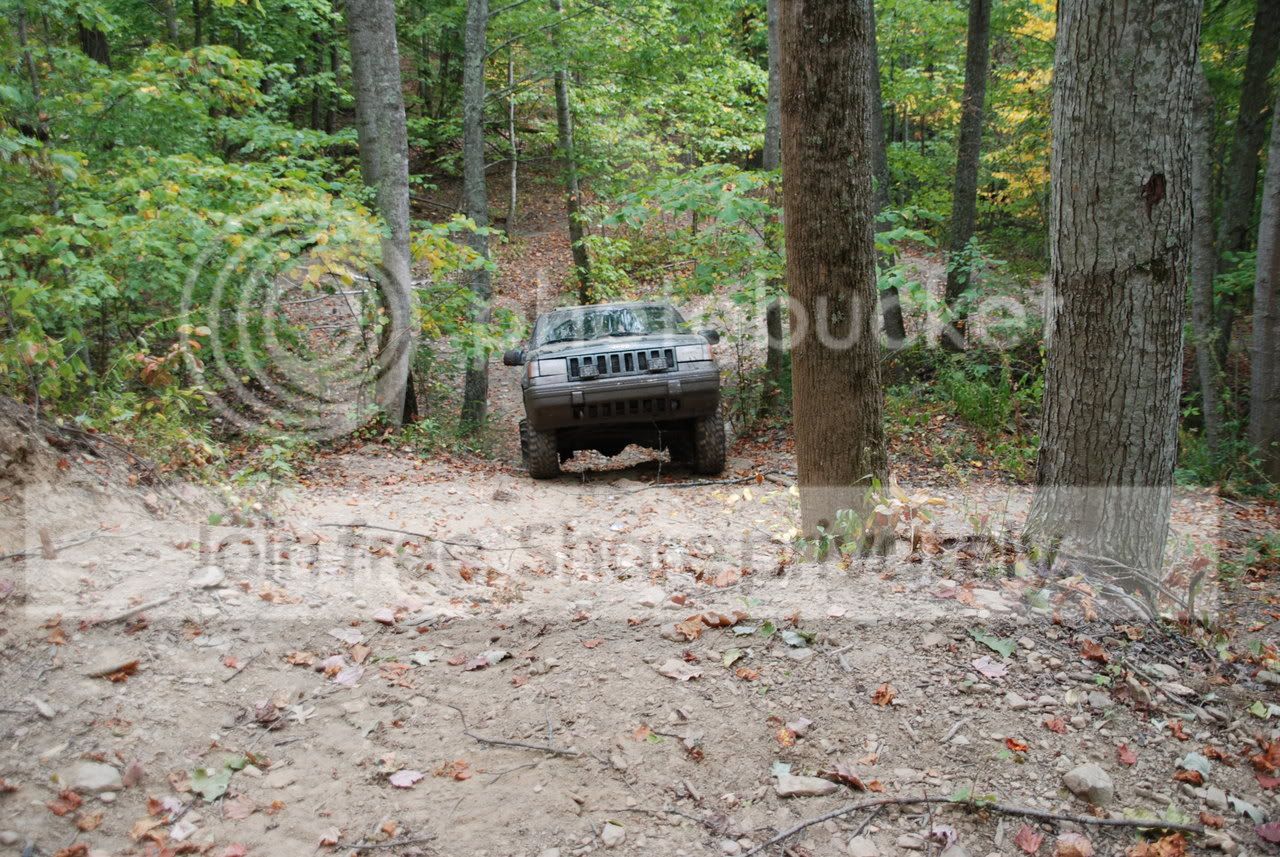 DSC_1262.jpg