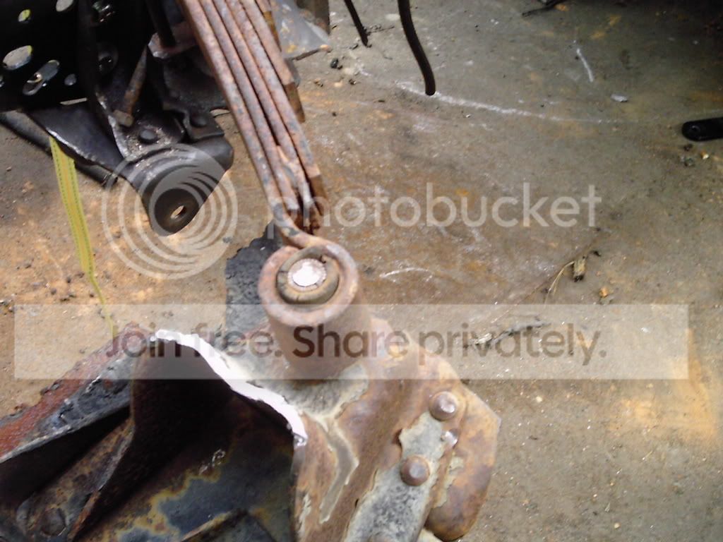 Picture263.jpg