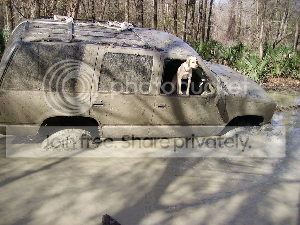 PICT0805.jpg