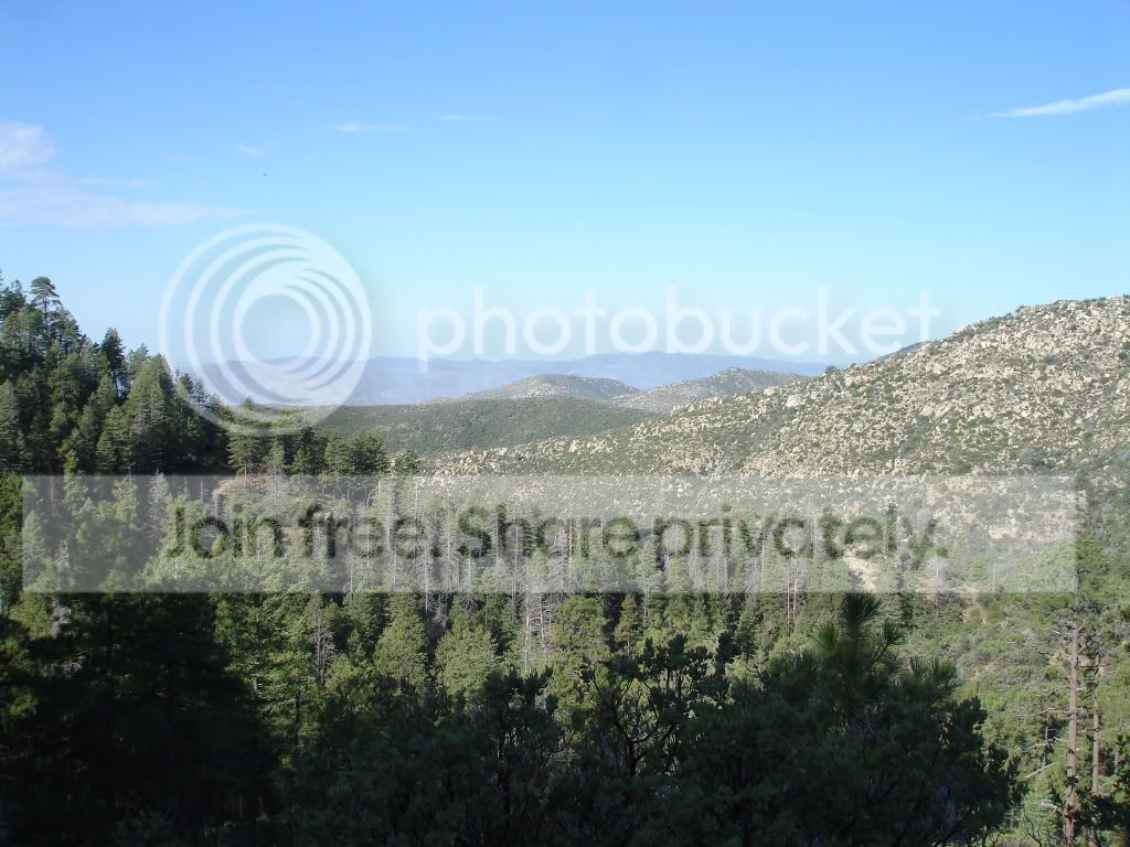 DSC06321.jpg