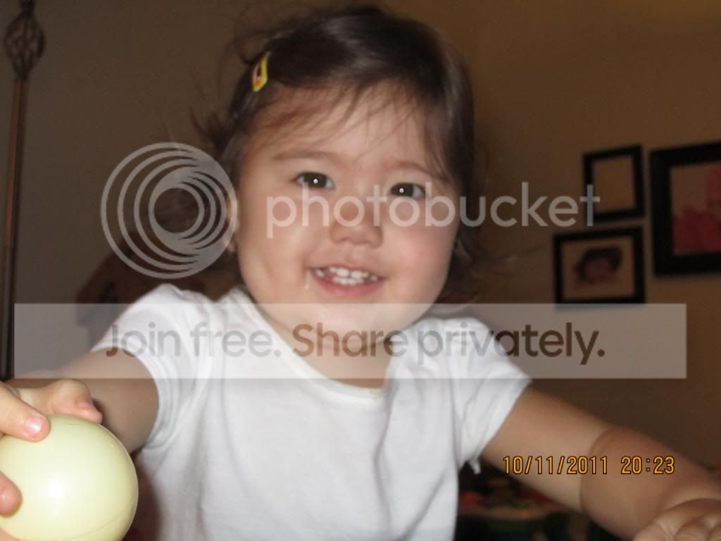 016-3.jpg