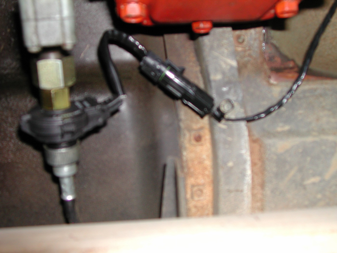 DSCN1790-vi.jpg