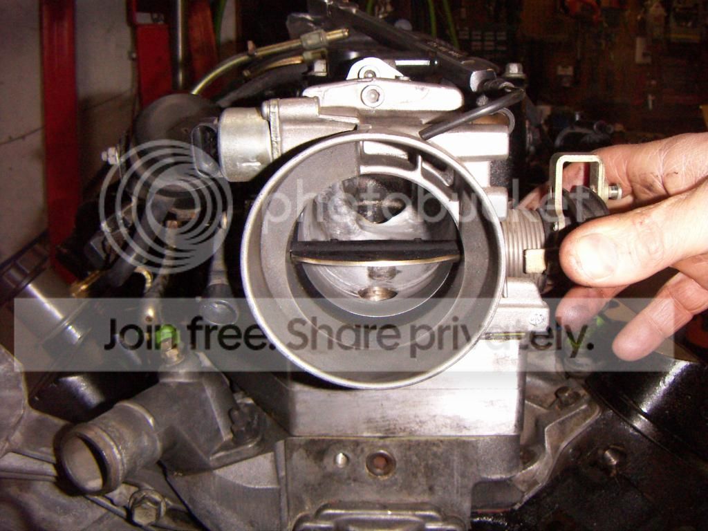 PICT0611.jpg