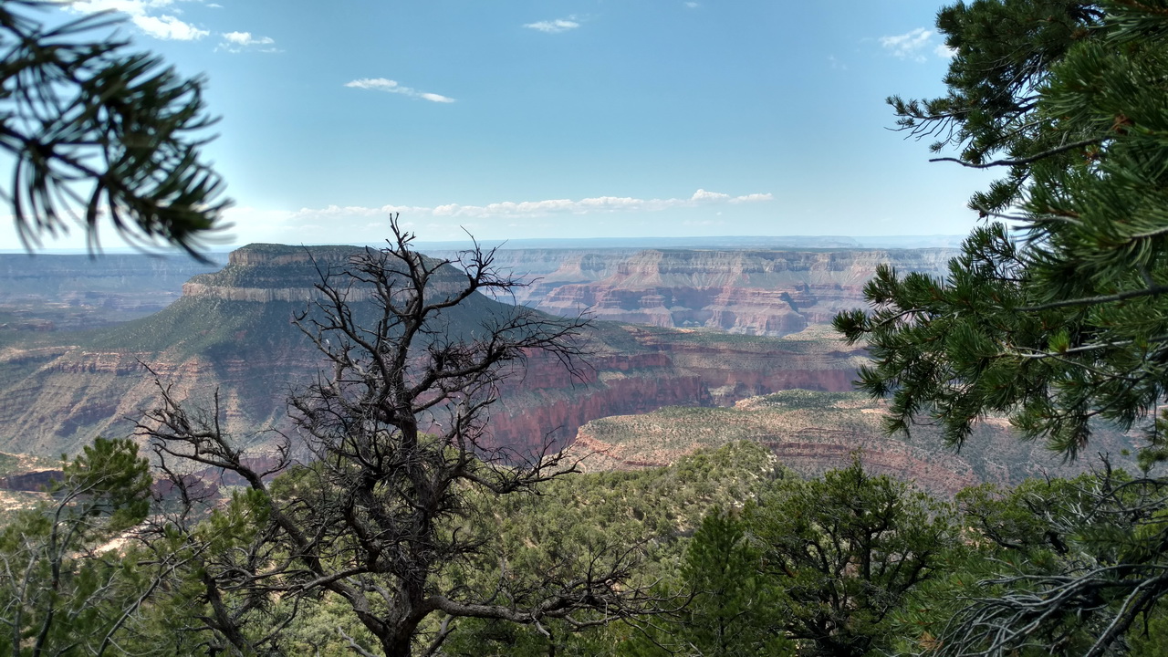 IMG_20160830_115127917_HDR.jpg