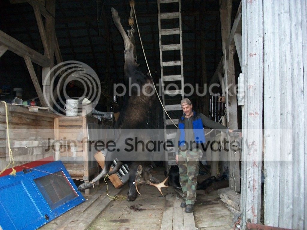 chasse2012015.jpg