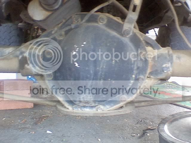 rear.jpg