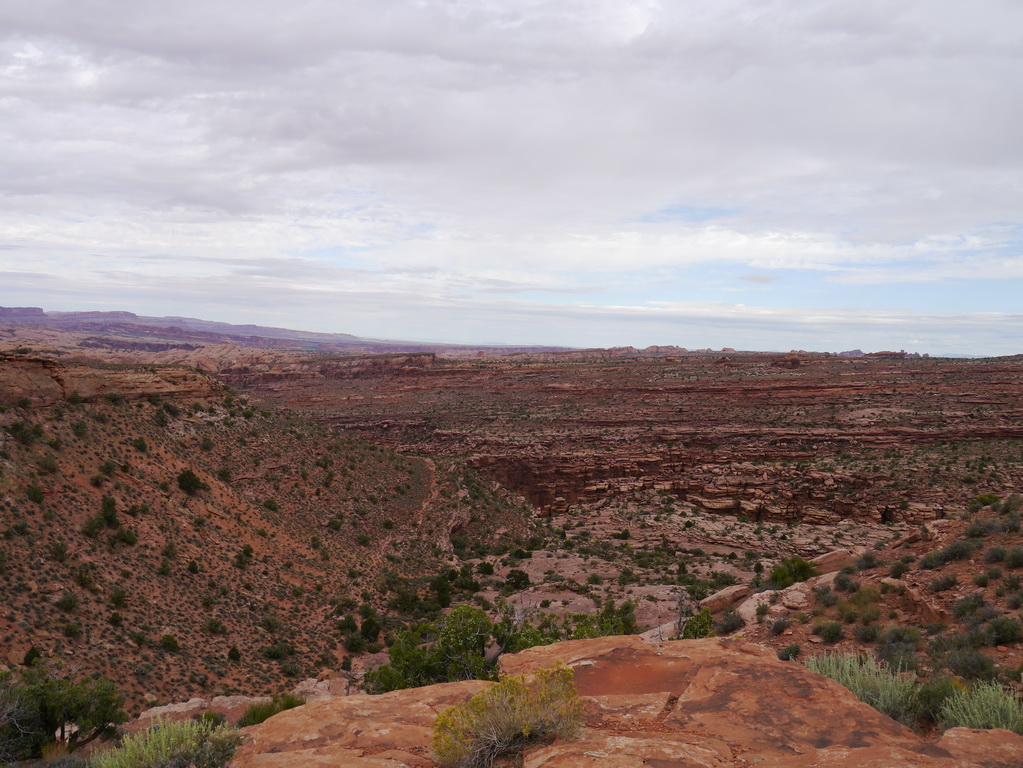 P1090054.JPG