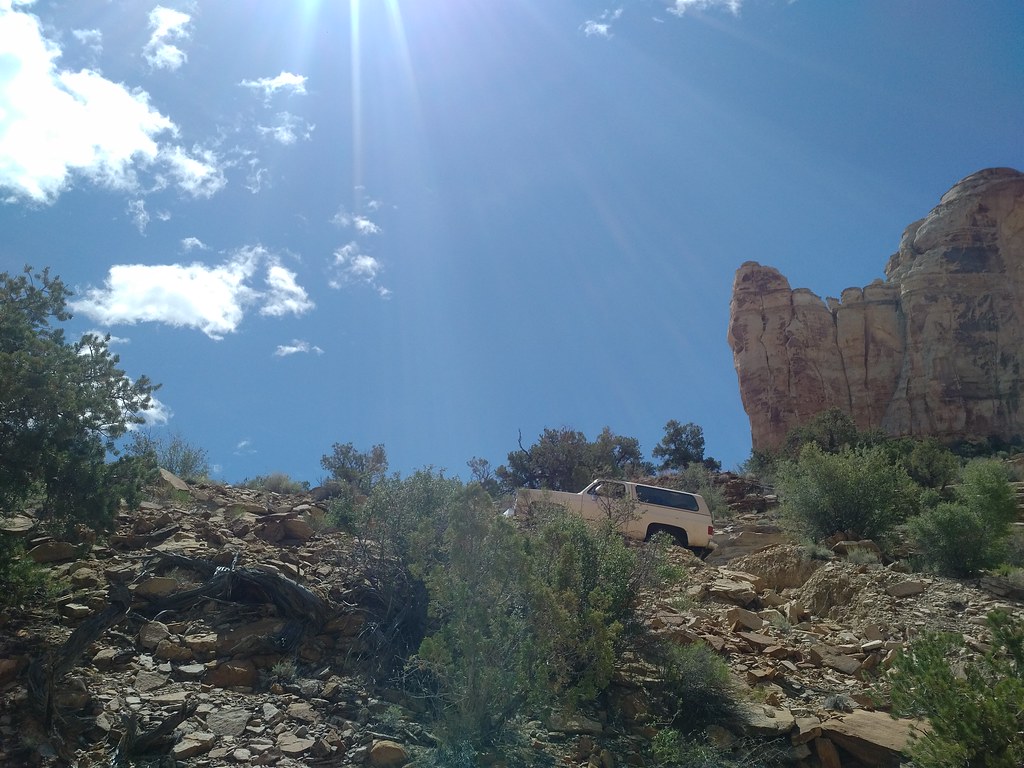 34601074463_2f5629ec81_b.jpg