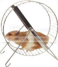 Hamstercopy.jpg