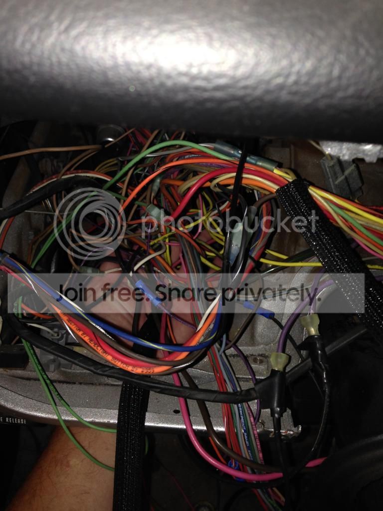 IMG_1595_zps731a62e1.jpg