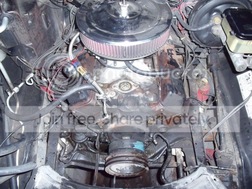 DSCF9597.jpg