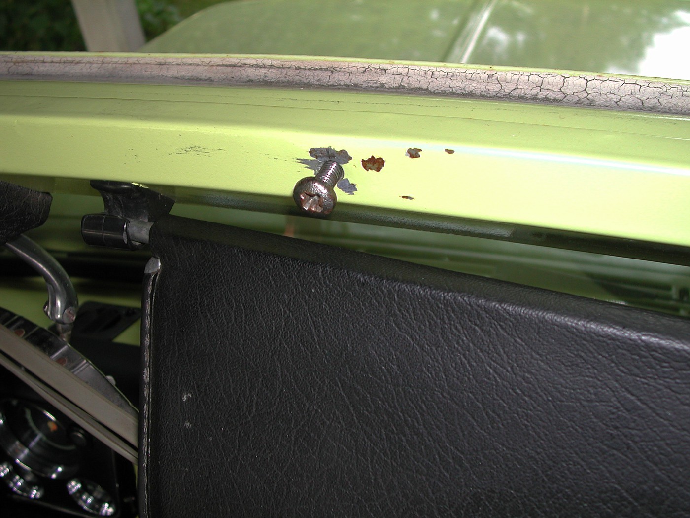 DSCN5025-vi.jpg
