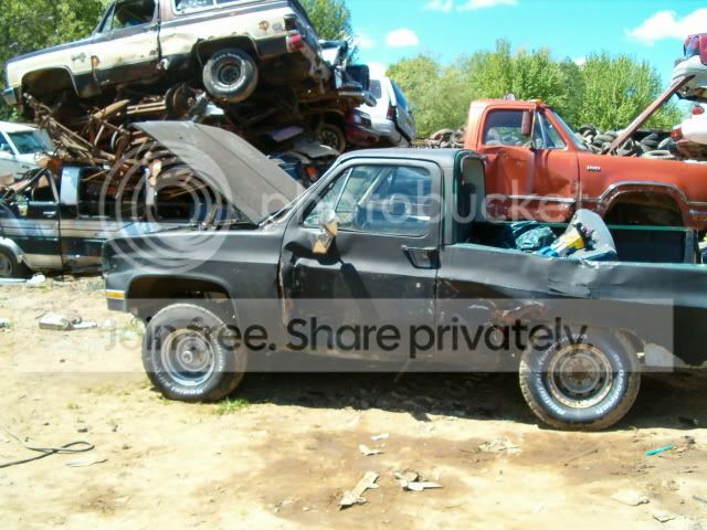 momsflowersjunkyard009.jpg