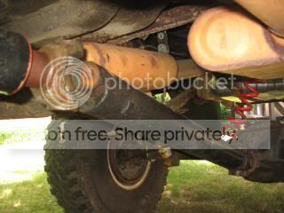 IMG_2295.jpg