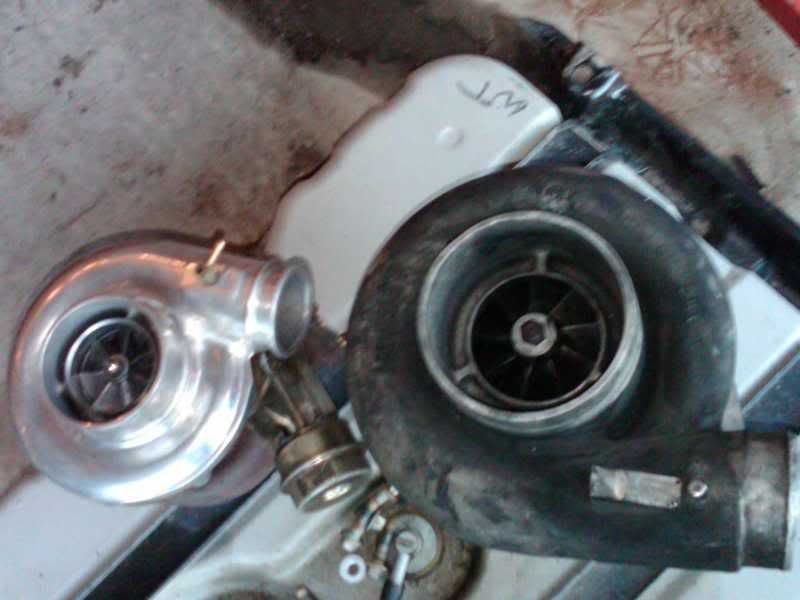 IMG00651-20110220-1755.jpg