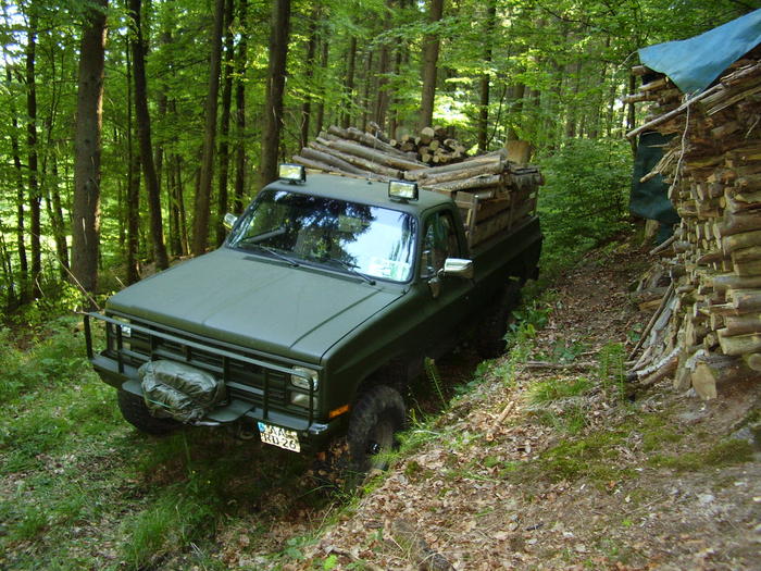 3199099.jpg