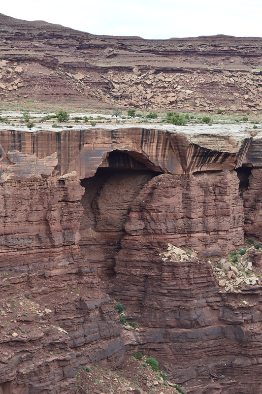17364951183_7ca5882c6b_c.jpg