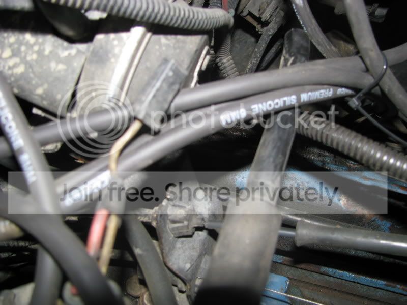 3202009006.jpg