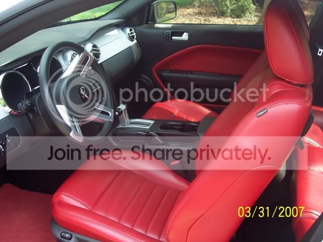 Mustang6.jpg