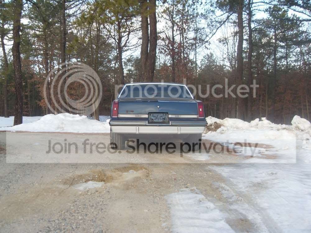 SDC12816.jpg