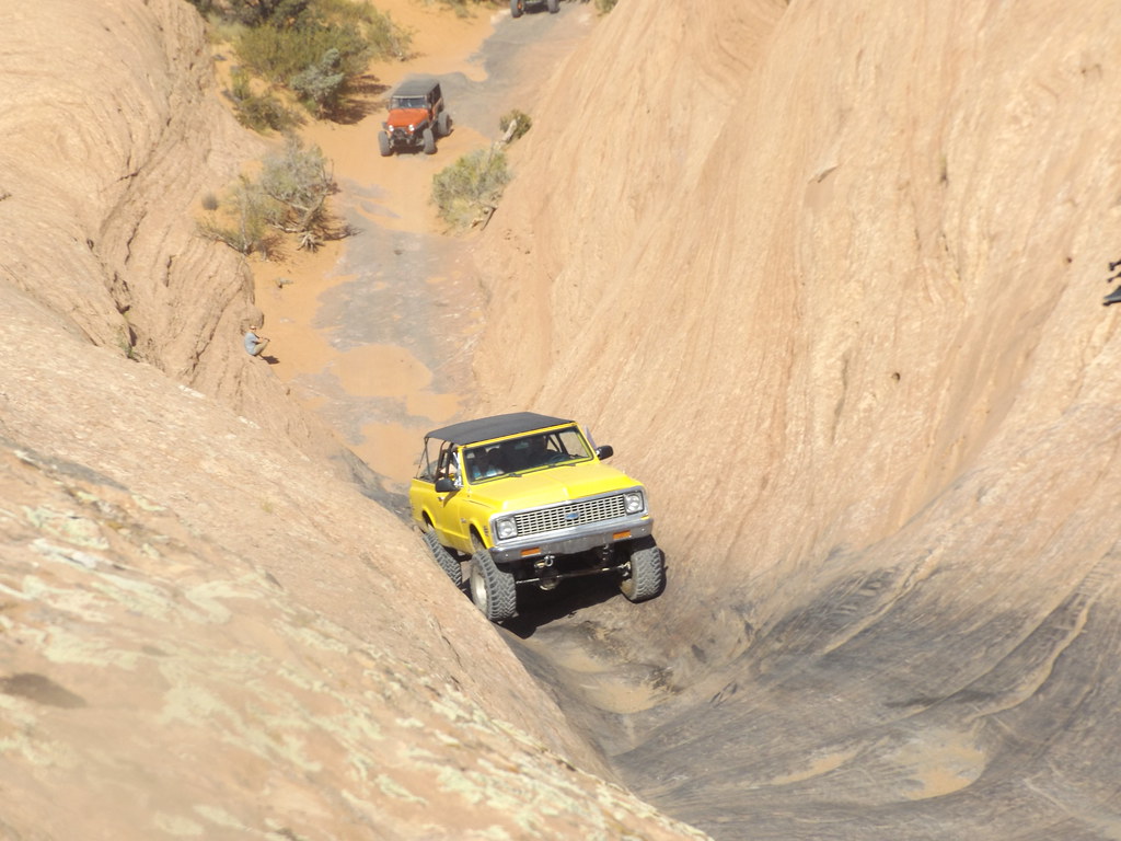 48724610093_8e3d03b466_b.jpg