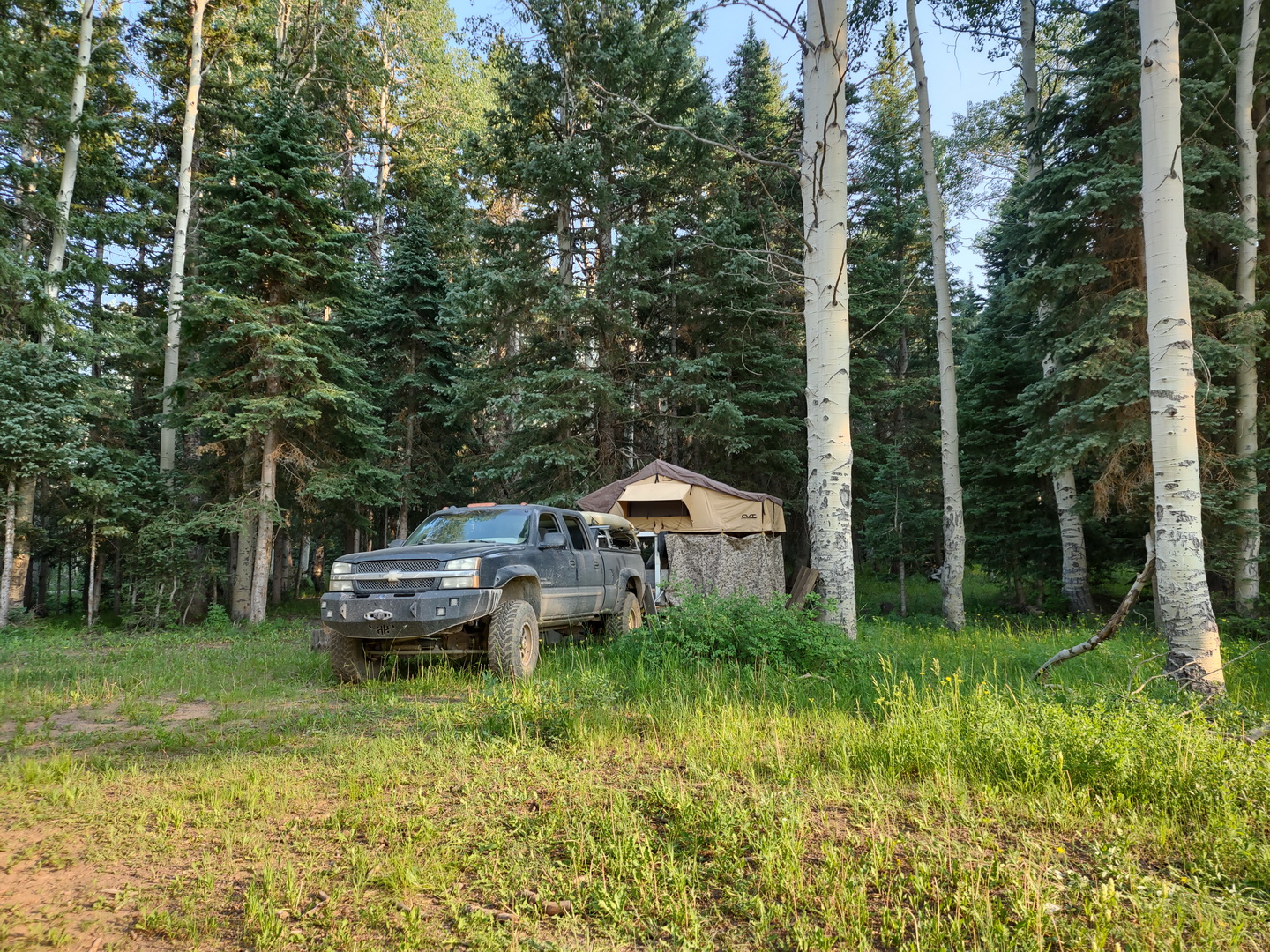 IMG_20210712_183339892_HDR.jpg