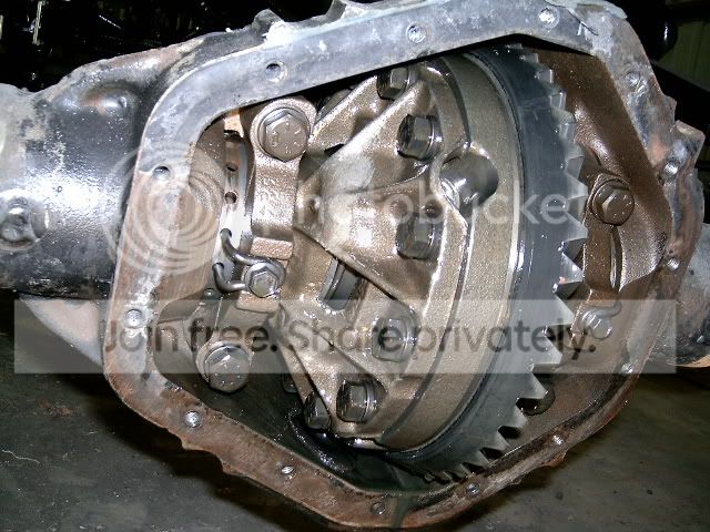 Picture174.jpg