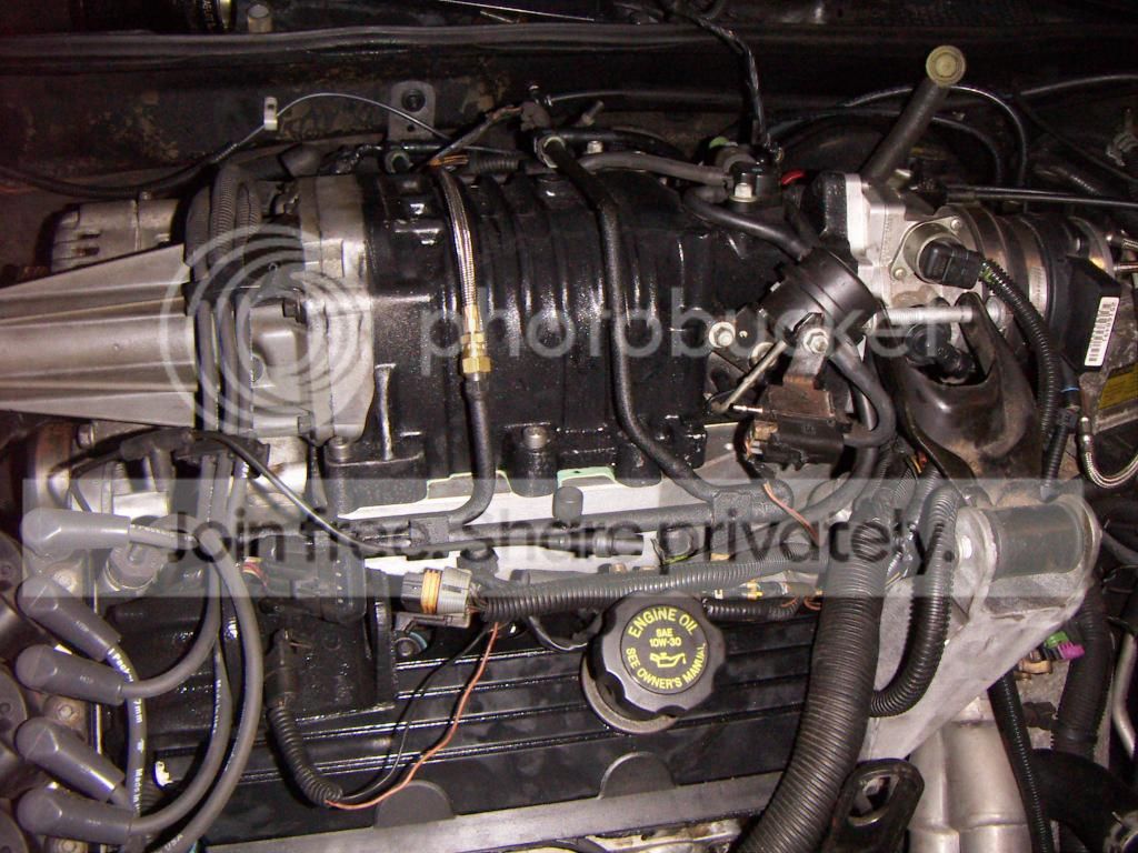 PICT0627.jpg