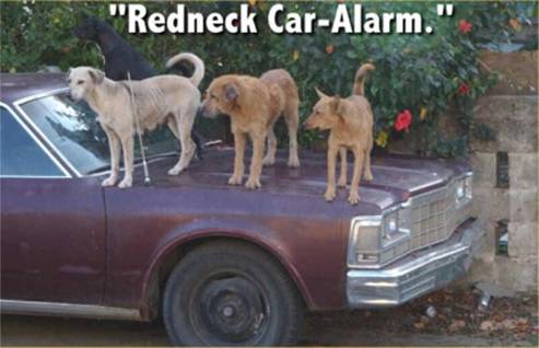 redneckcaralarm.jpg