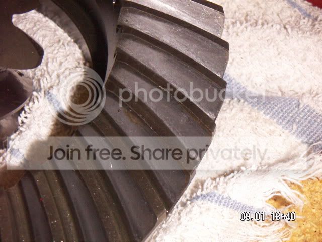 PICT0180.jpg