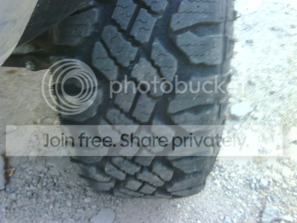 IMG00355-20101124-1550.jpg