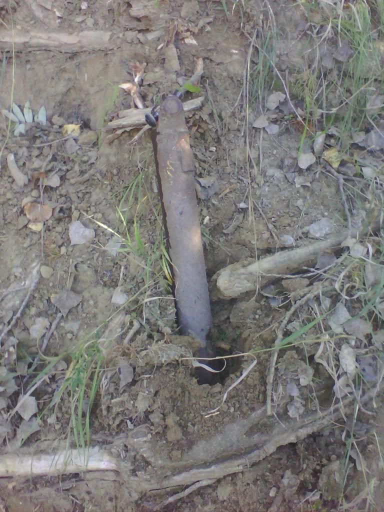 IMG0033A.jpg