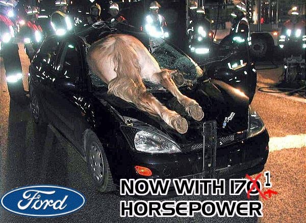 fordad_horse.jpg