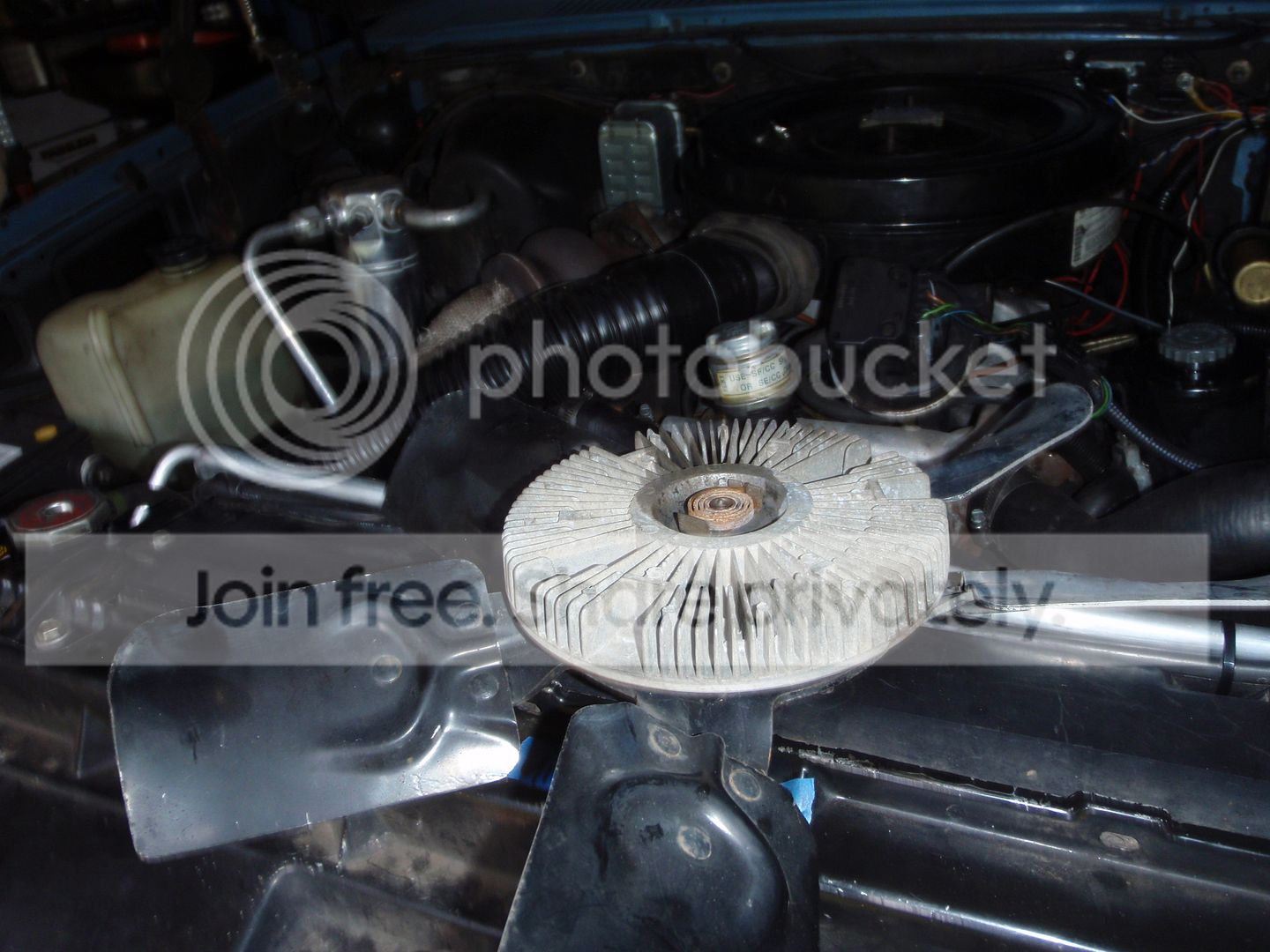 P6260785_zpst5jfn4ca.jpg
