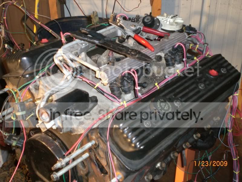 CIMG1650.jpg