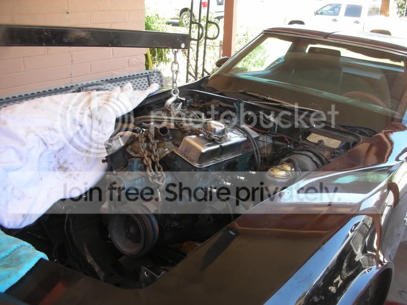 DSCN2564.jpg