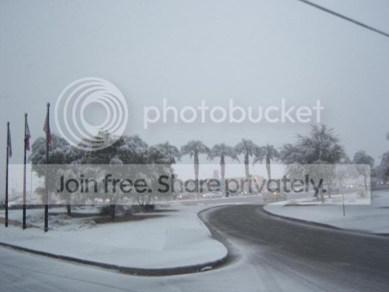 Snow020.jpg