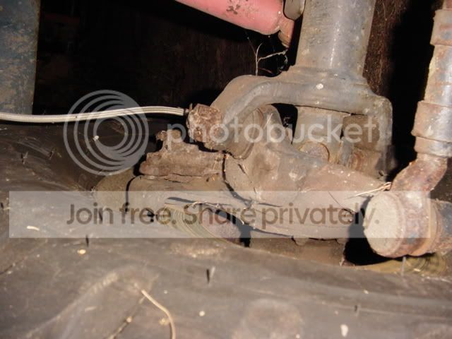 DSC00355.jpg