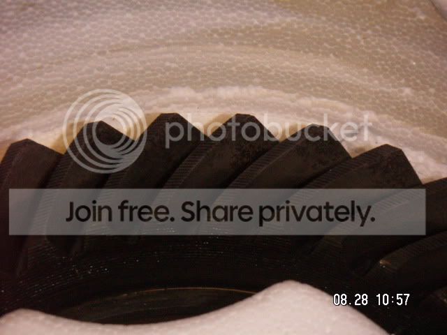 PICT0164.jpg