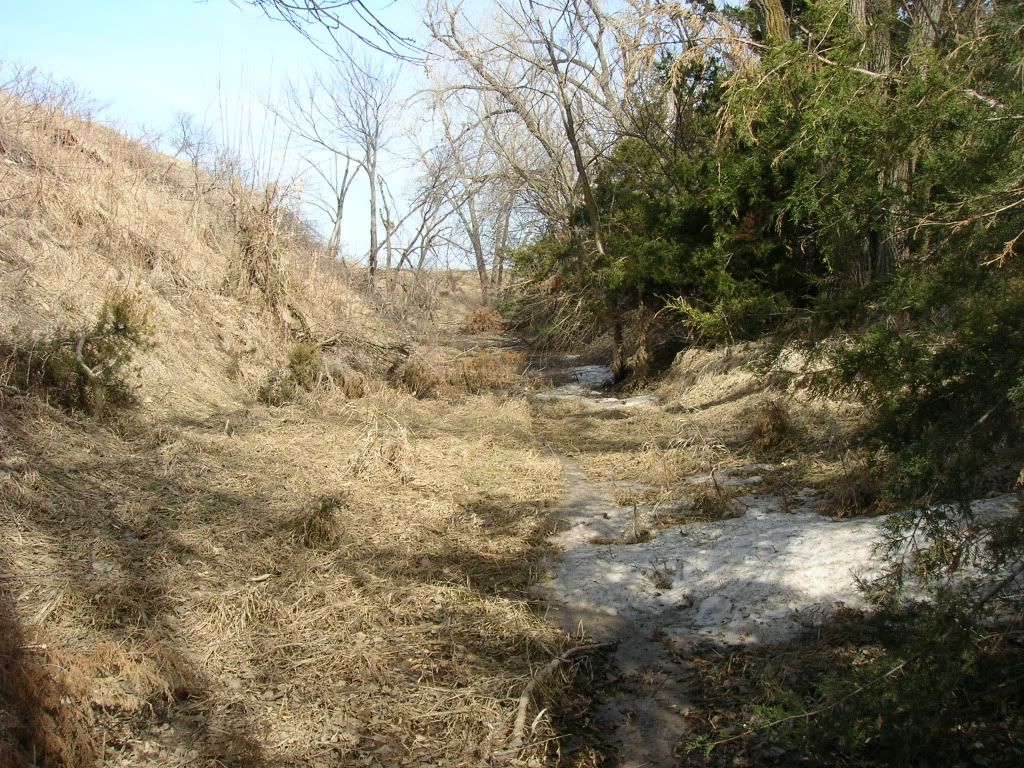 Picture019.jpg