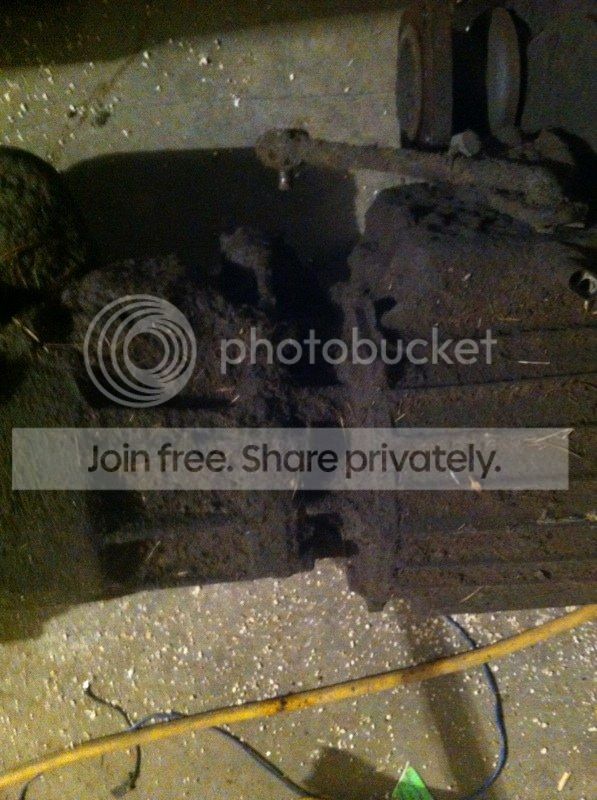 IMG_8773_zpsakgf3qdl.jpg