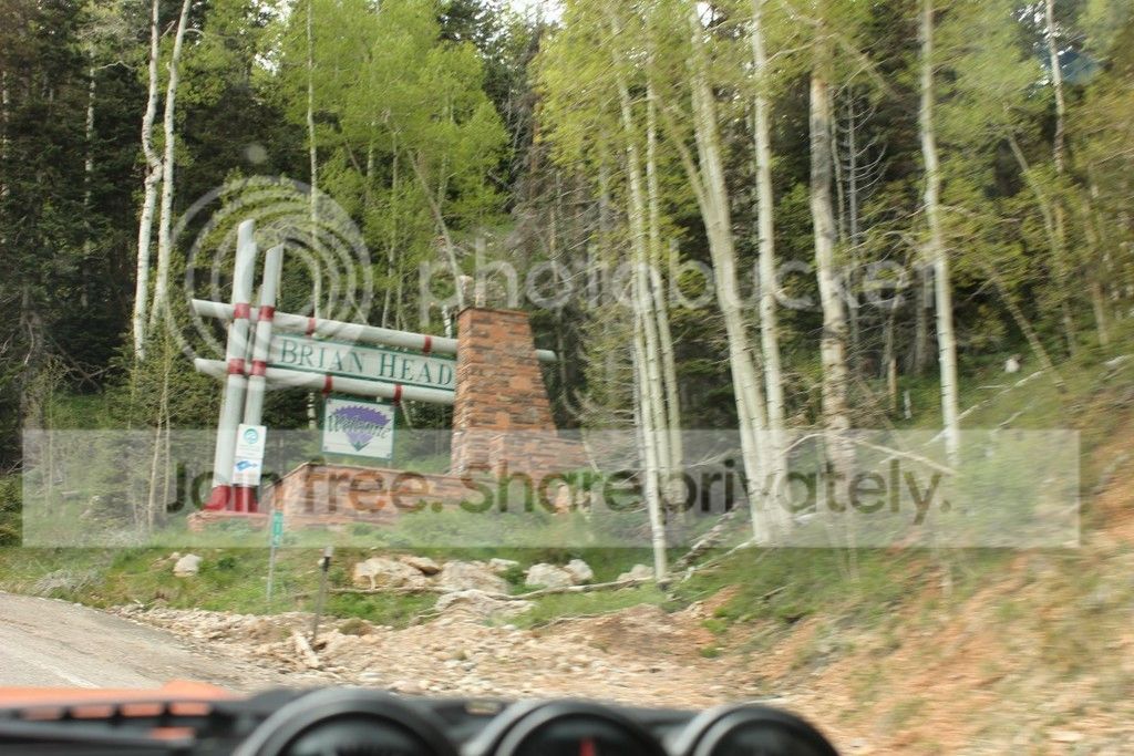 IMG_0415_zpsghki97vw.jpg