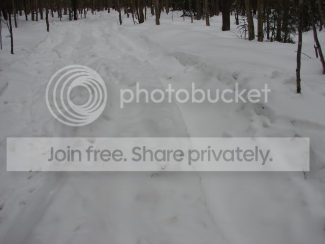 DSC01548.jpg