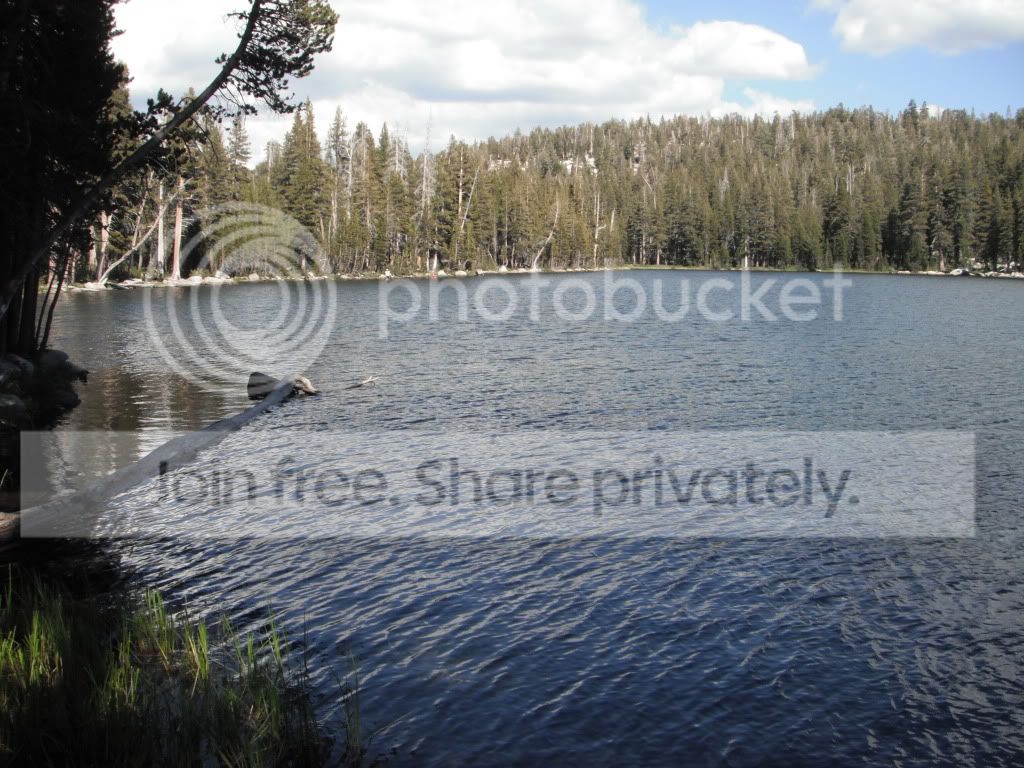 DSCF0753.jpg