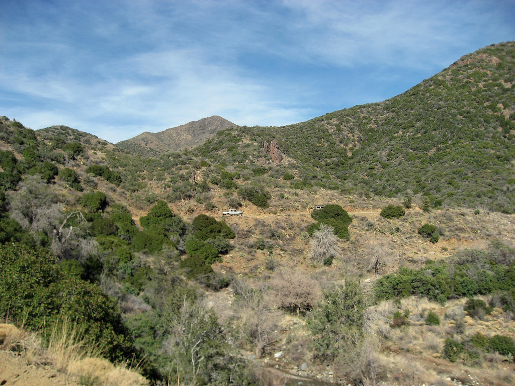 484087650_9VKJH-XL.jpg