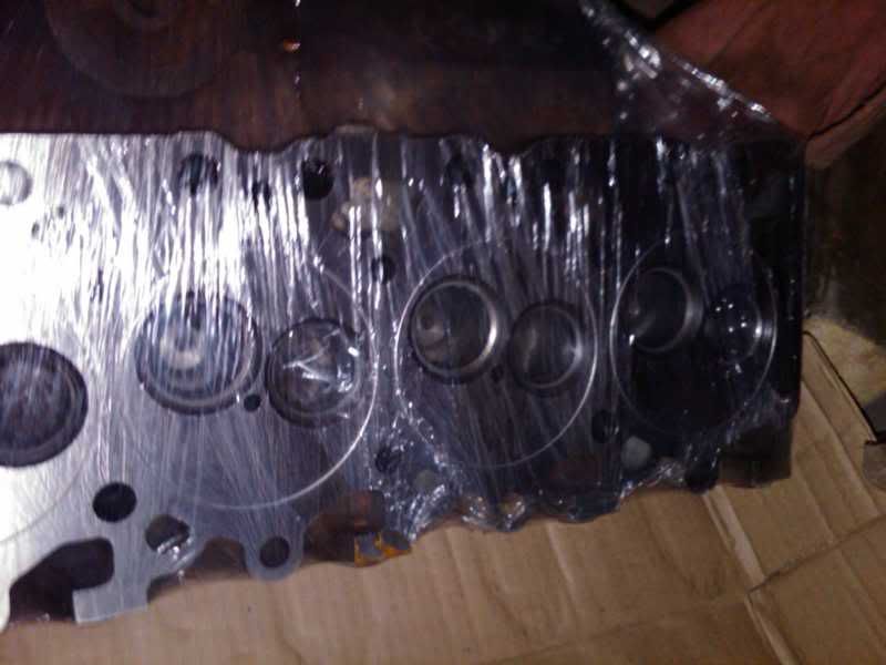 IMG00658-20110220-1836.jpg