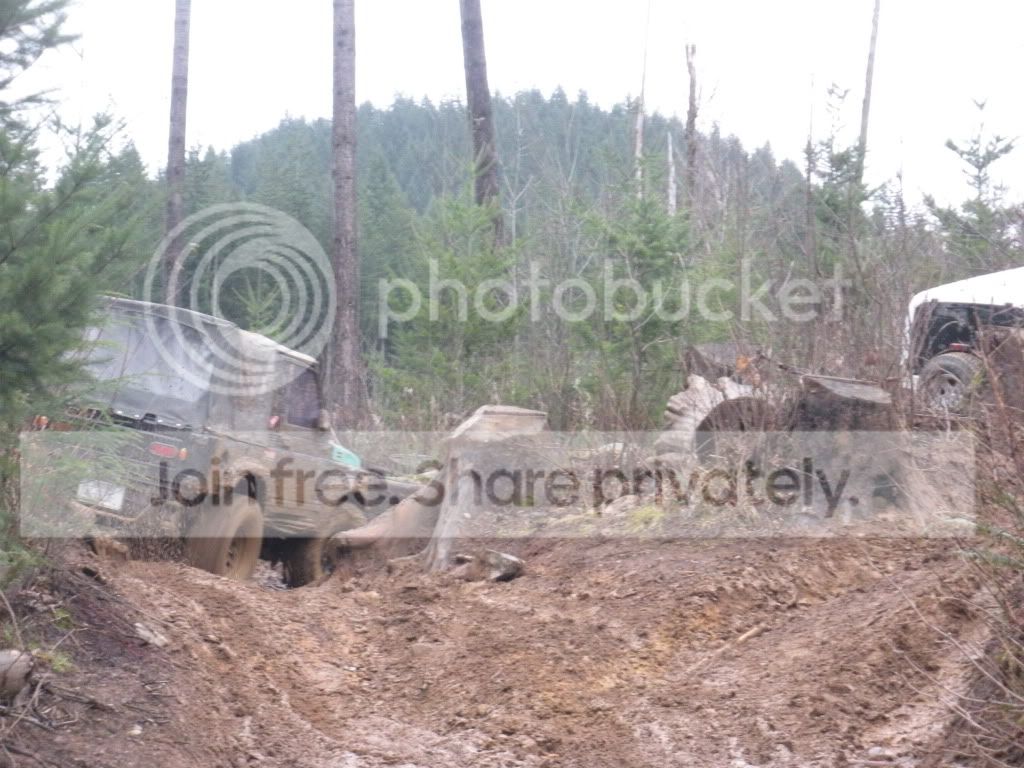 DSCN5584.jpg